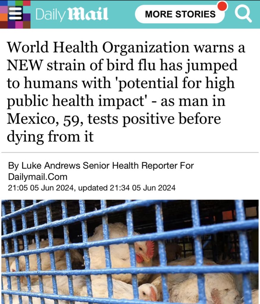 Here they come again, attempting another WHO d’etat