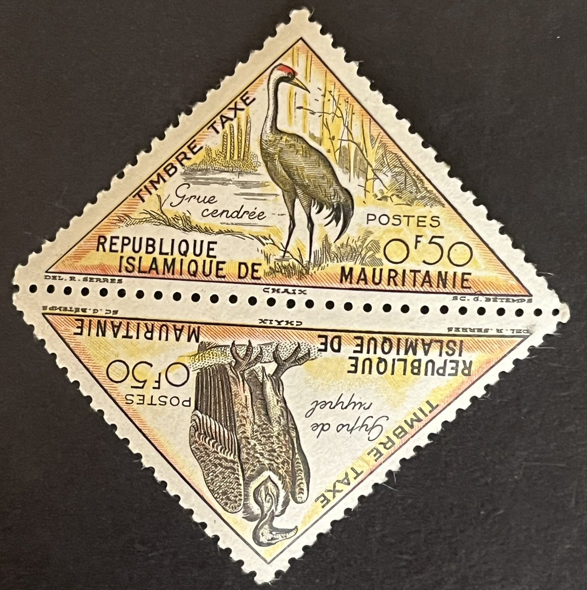 JacquilineS1975's tweet photo. @Philatelovely Grey Crane and Ruppell’s Vulture, 1963
#stamps #Philately #Mauritania https://t.co/sXkX0jobcE