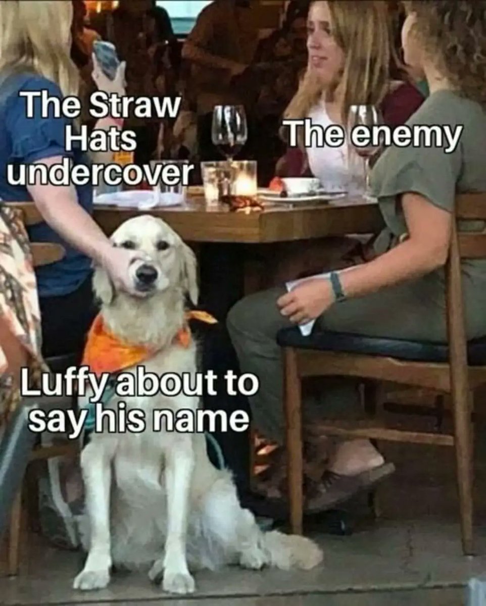 DailyOPMemes's tweet photo. Anime : One Piece https://t.co/IqzPtu7HDq