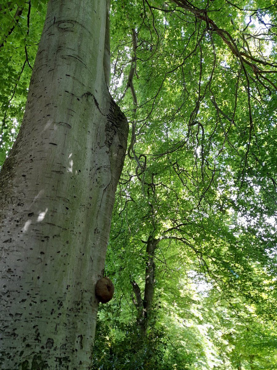Time away with other spiritual accompaniers at Hexham Abbey