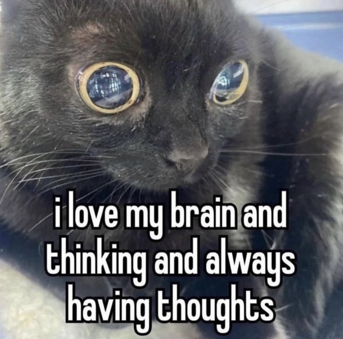 ꧁sativapxie꧂ tweet media