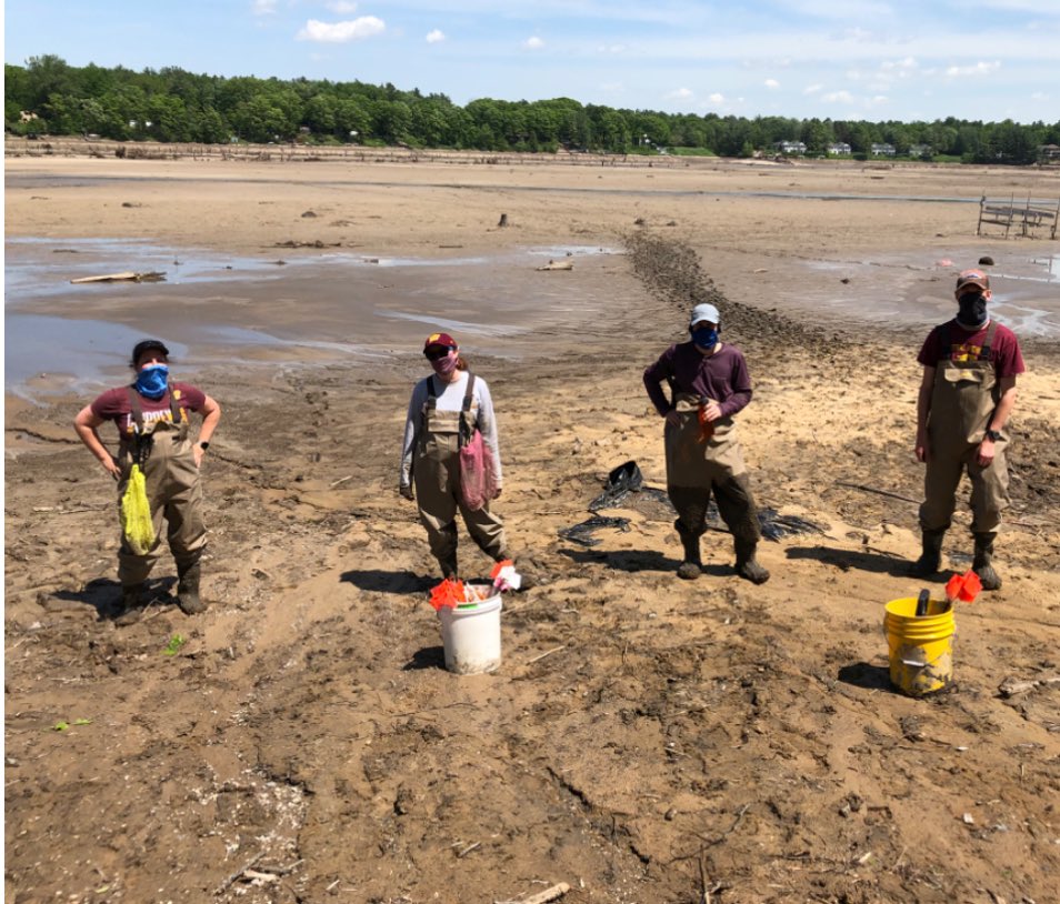 Woolnough Mussel Lab (@mussellab_dw) on Twitter photo #mussel day at #2024sfs Join <a href="/MusselLab_DW/">Woolnough Mussel Lab</a> and others in salon 3/4 today (and a handful in other rooms). Including 4-4:15 (#dams and #unionids) and 4:45-5pm (#contaminants and #mussels) talks from <a href="/MusselLab_DW/">Woolnough Mussel Lab</a> <a href="/BenthosNews/">Freshwater Science</a> <a href="/FMCS_Mollusk/">Freshwater Mollusk Conservation Society</a> #mussel day at #2024sfs Join <a href="/MusselLab_DW/">Woolnough Mussel Lab</a> and others in salon 3/4 today (and a handful in other rooms). Including 4-4:15 (#dams and #unionids) and 4:45-5pm (#contaminants and #mussels) talks from <a href="/MusselLab_DW/">Woolnough Mussel Lab</a> <a href="/BenthosNews/">Freshwater Science</a> <a href="/FMCS_Mollusk/">Freshwater Mollusk Conservation Society</a>