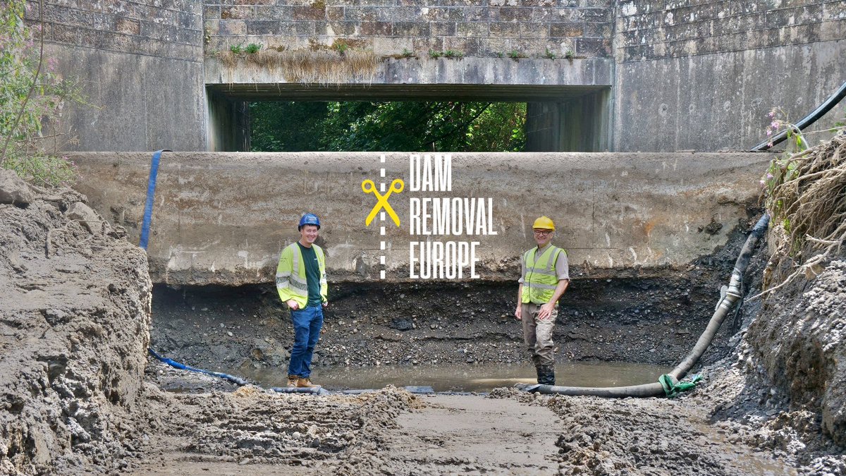 WildTroutTrust's tweet image. A recent report from @WWF tells us that #migratoryfish populations declined 81% between 1970 and 2020. But there&apos;s still hope, thanks to projects like ours with lots of partners to remove barriers so that many species can complete their lifecycles again &amp;gt;&amp;gt; wildtrout.org/news/81-declin…