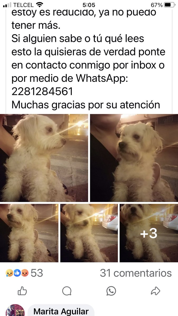 Gina alarcon tweet media