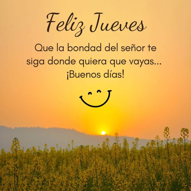ministerio1404's tweet photo. https://t.co/UFnczYzkxP