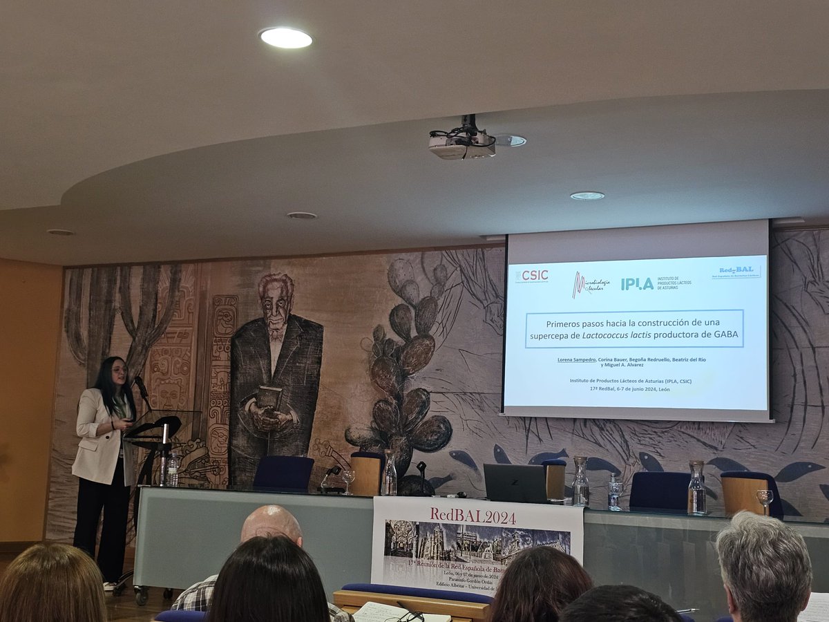 MolMicro_LAB's tweet photo. @LorenaSampedro_ predoctoral @MolMicro_LAB @iplacsic @FINBAsturias presenta sus resultados sobre la producción de #GABA en Lactococus lactis en la 17 Reunión @RedBAL9 #redbal https://t.co/vRWmtBq19H