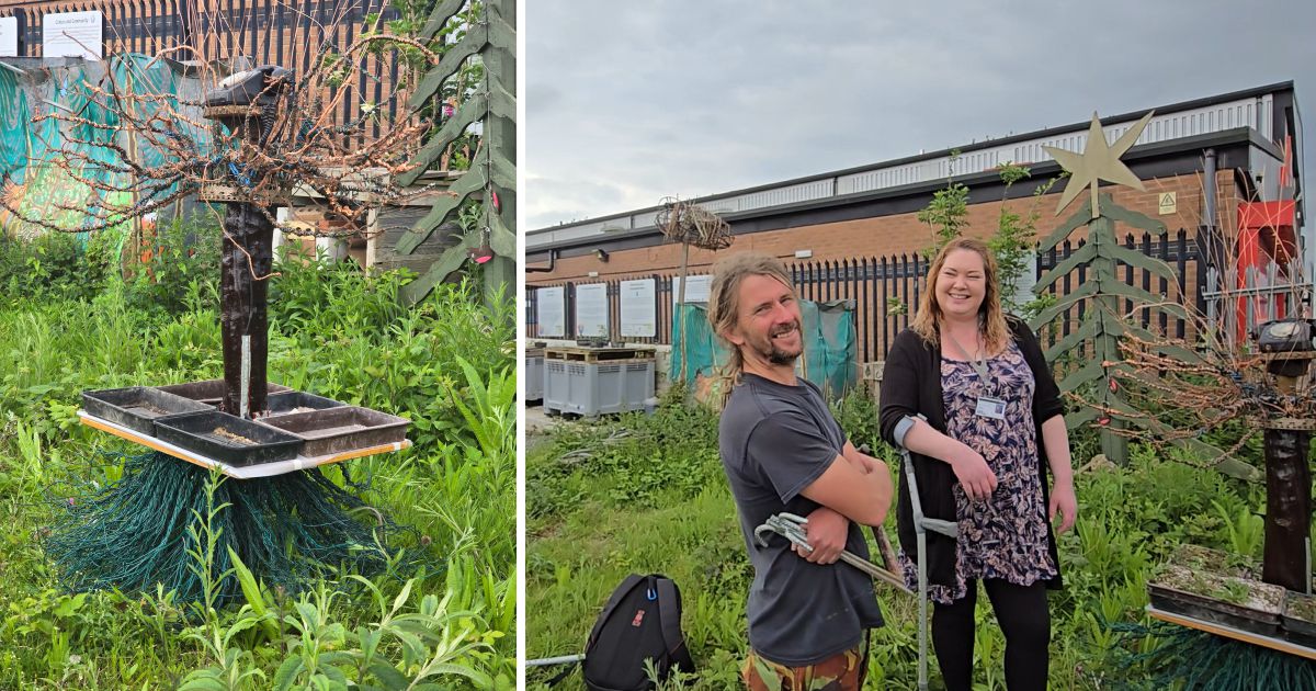 Recognising that we’re not allowed to plant permanently on our site, Emma and Keith from Hull college installed their latest art piece down in the wild garden at Rooted.  Symbolising the importance of communication, they call it the “Wood Wide Web.”  Come and have a look.