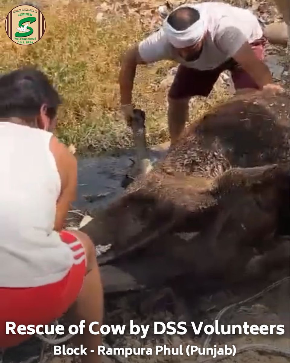 Shah Satnam Ji Green S Welfare Committee tweet media