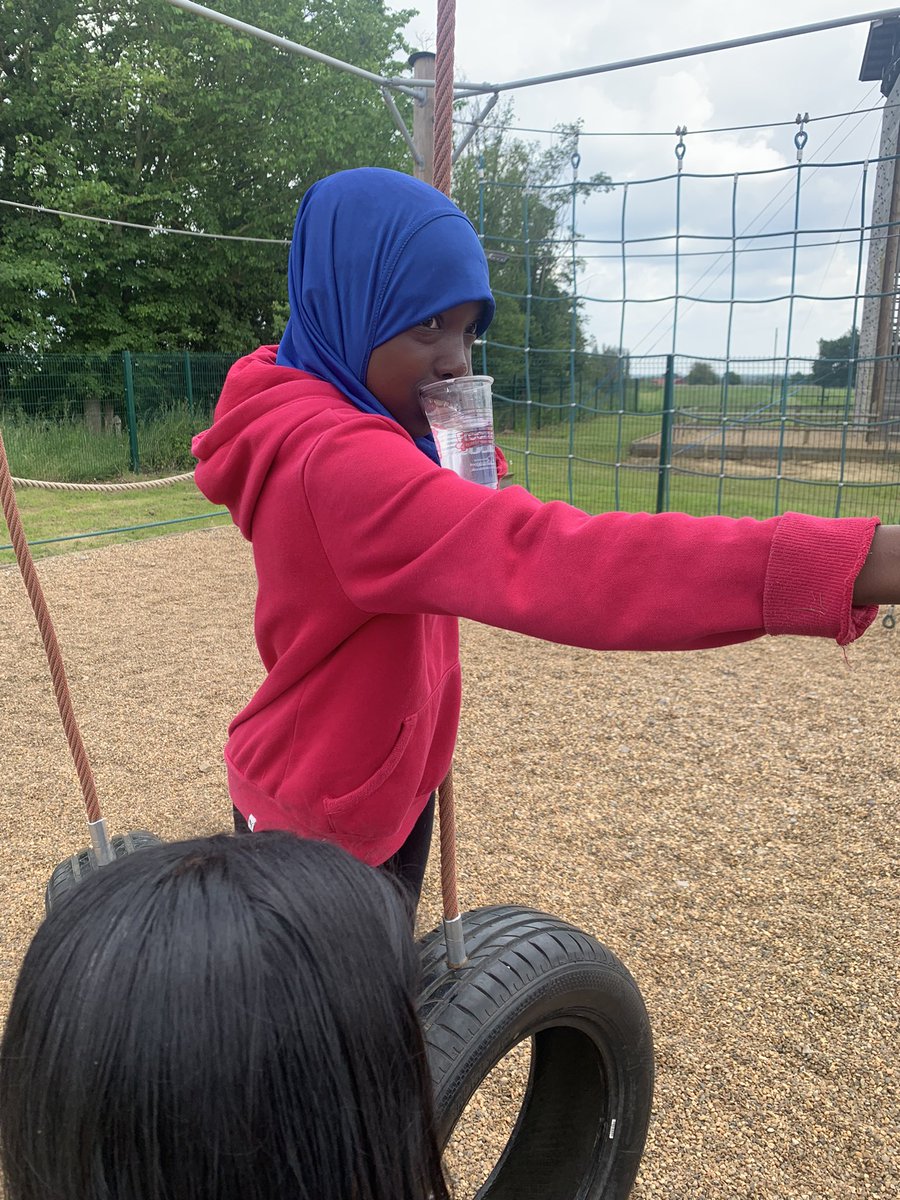 Harold Court Primary tweet media