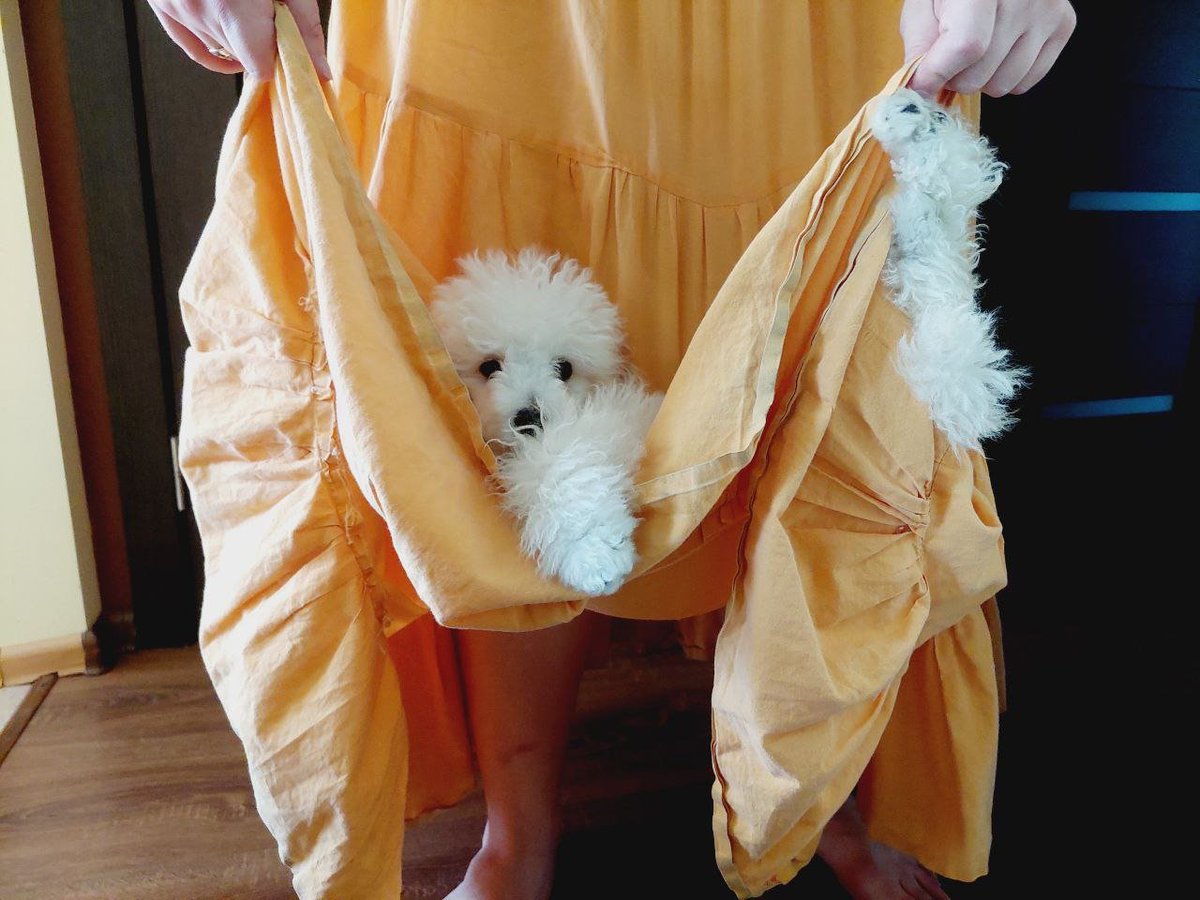 В моей телеге новая звездочка и имя ей Клевер.
Тут он тоже должен засиять)