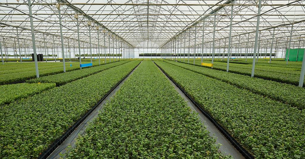 Fruitnet_SEE's tweet photo. Fall Creek reveals Romanian acquisition https://t.co/60ZUSDWazm https://t.co/2CSJRbzNzI