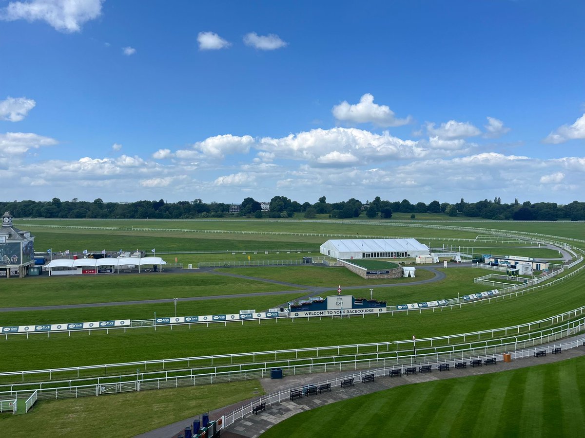 York Racecourse tweet media