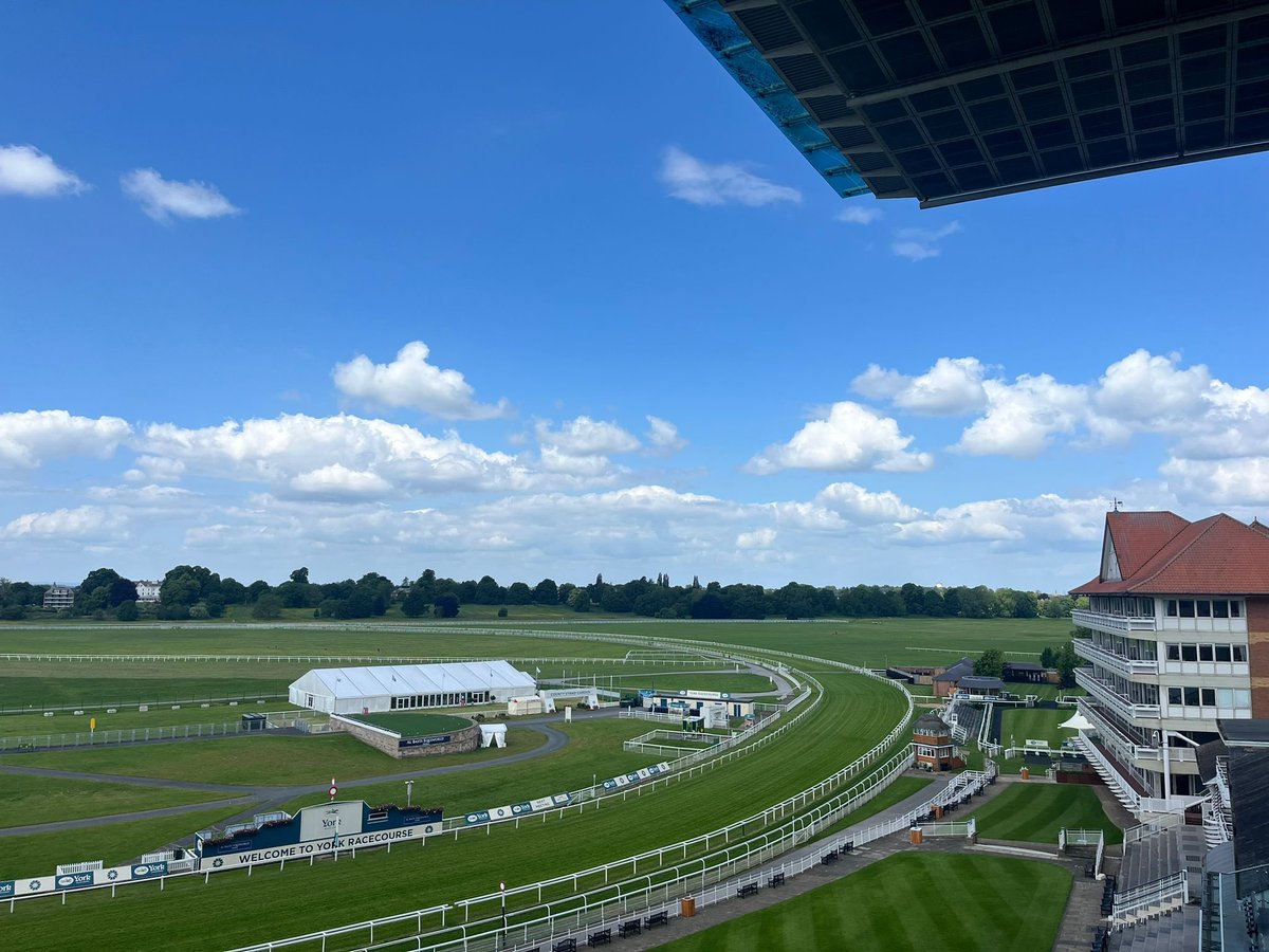 York Racecourse tweet media