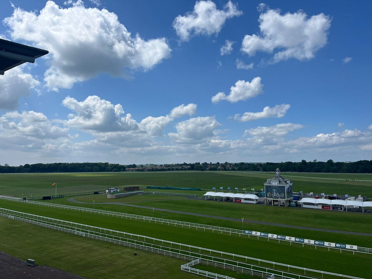 York Racecourse tweet media