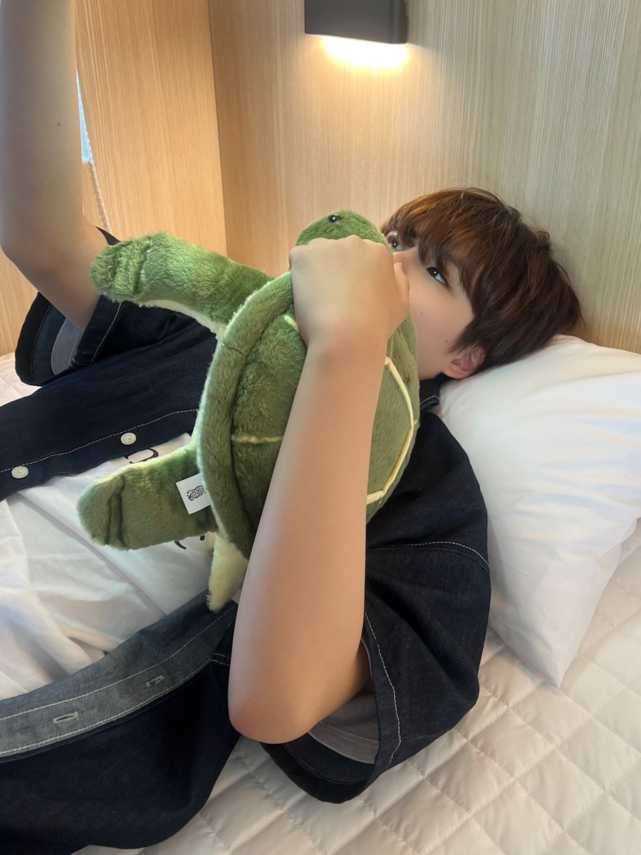 thewind_twt's tweet photo. [#안찬원] 찬원이와 두식이의 침대 셀카🛏💤 https://t.co/G41l5yZYi3