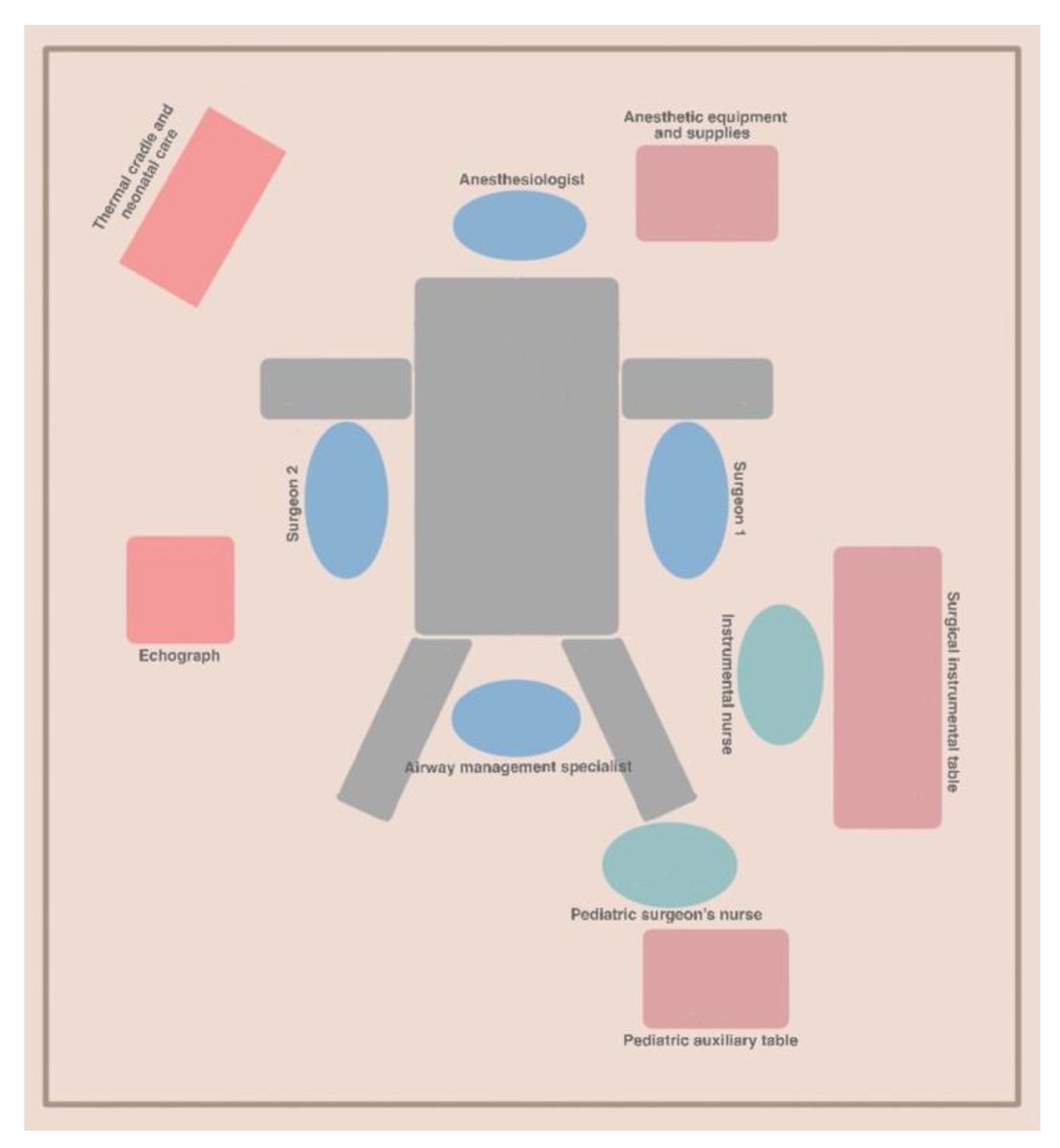 #mdpiSTD Thrilled to announce our latest publication, "A Detailed Exploration of the Ex Utero Intrapartum Treatment Procedure with Center-Specific Advancements" by Marta Domínguez-Moreno et al.
mdpi.com/2038-9582/13/1…