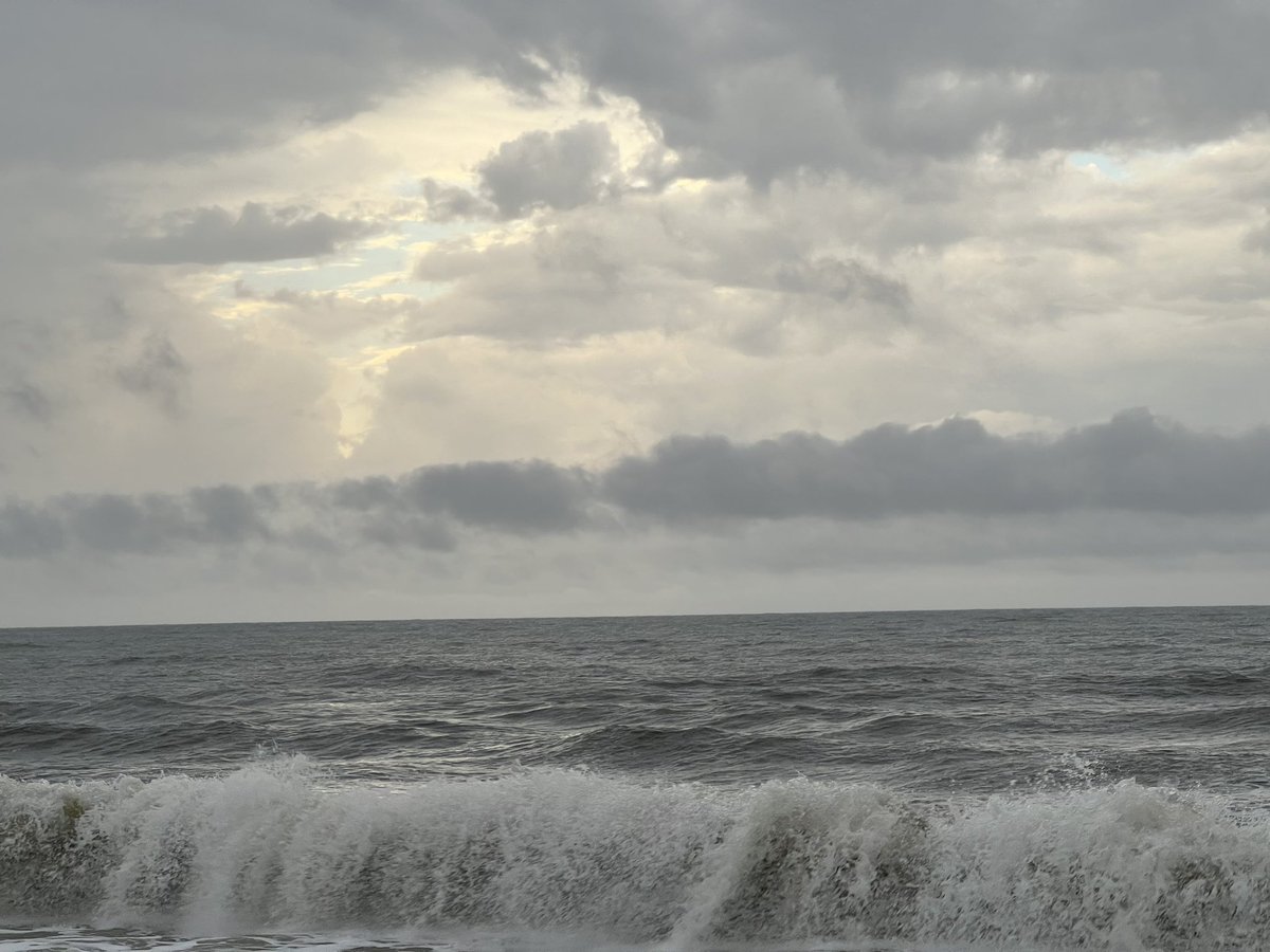 CarolinaGirlGen's tweet photo. Mornin’ from the beach!
Rainy start to my day.
#TurtlePatrol #SeaTurtles #BeachLife🌨️☂️🌊 https://t.co/fkNydz4tLx