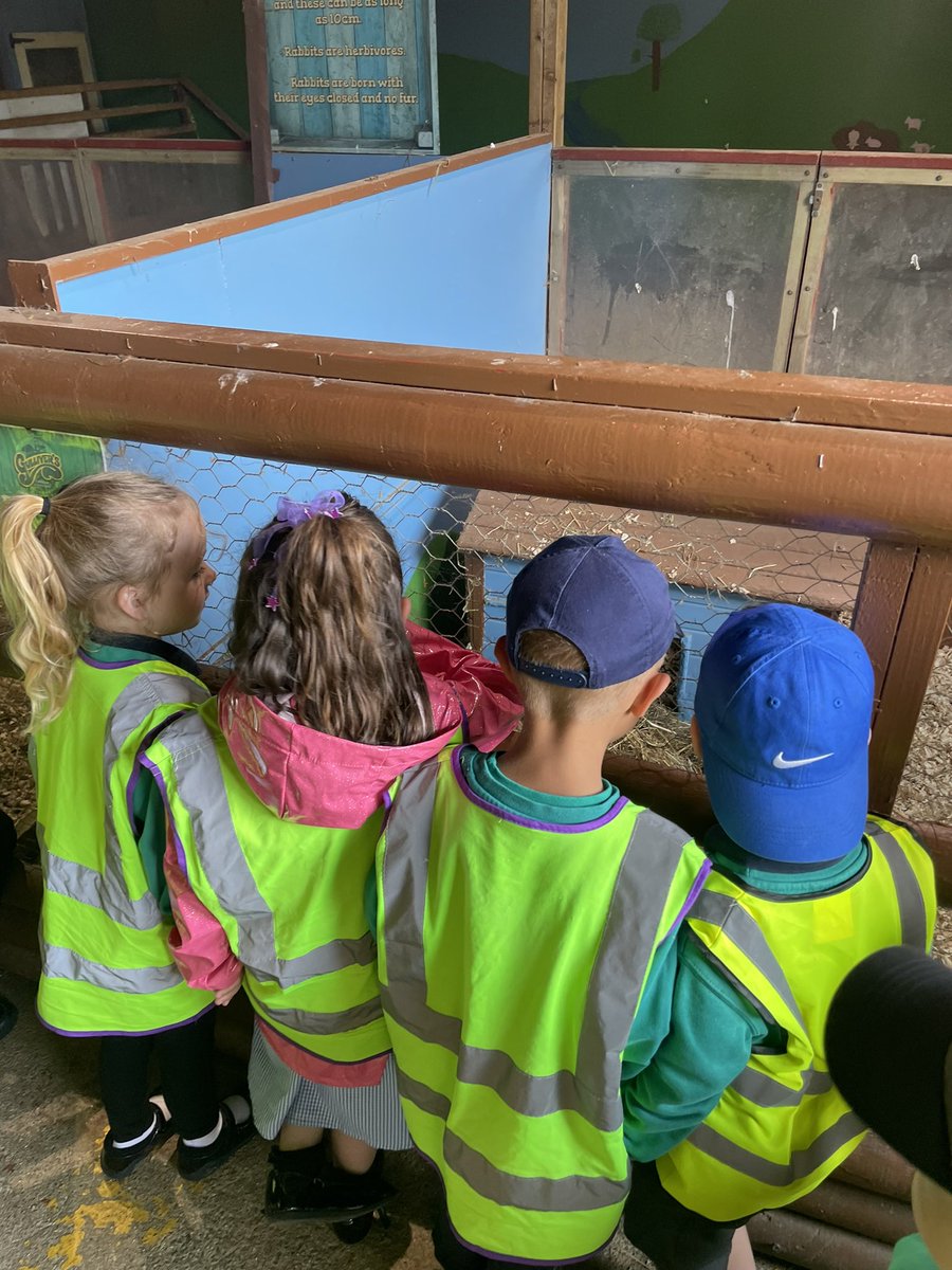 UptonclassRKC's tweet photo. We have arrived to Gullivers Dino and Farm Park!! We have fed the animals and are having fun exploring the park! https://t.co/X7yLmSZjjH
