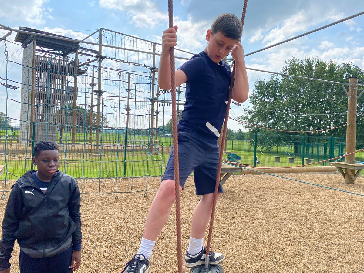 Harold Court Primary tweet media