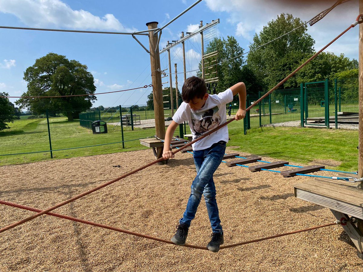 Harold Court Primary tweet media