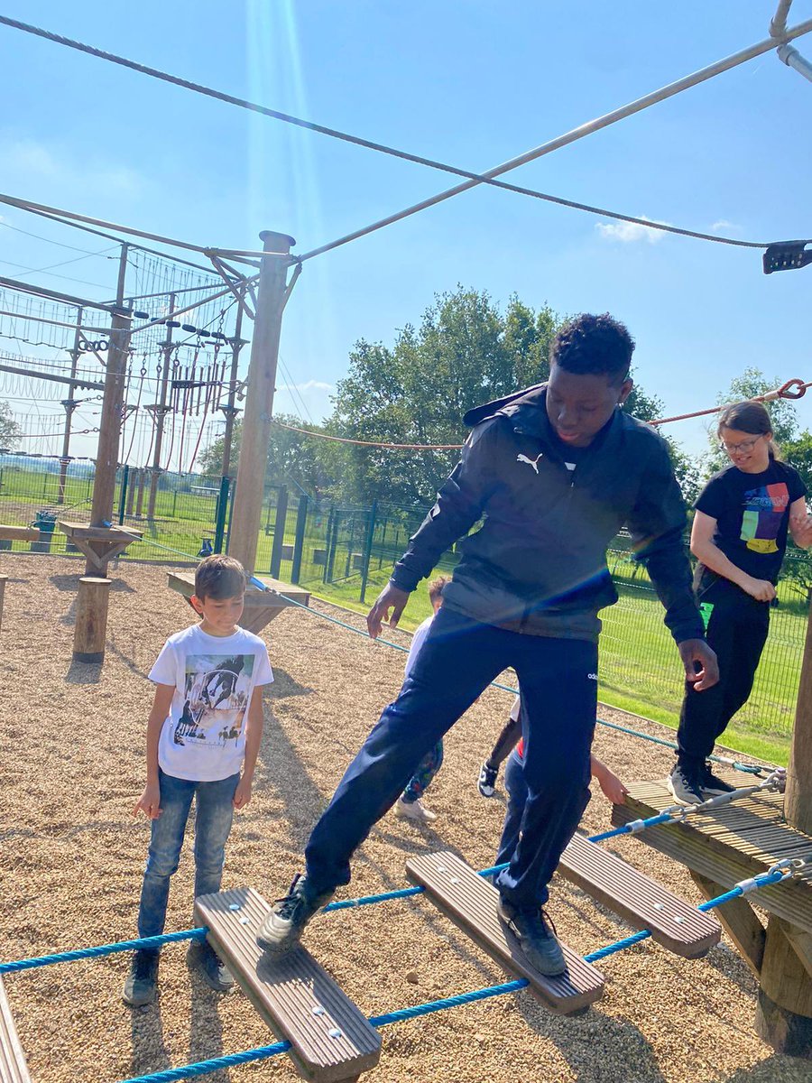 Harold Court Primary tweet media