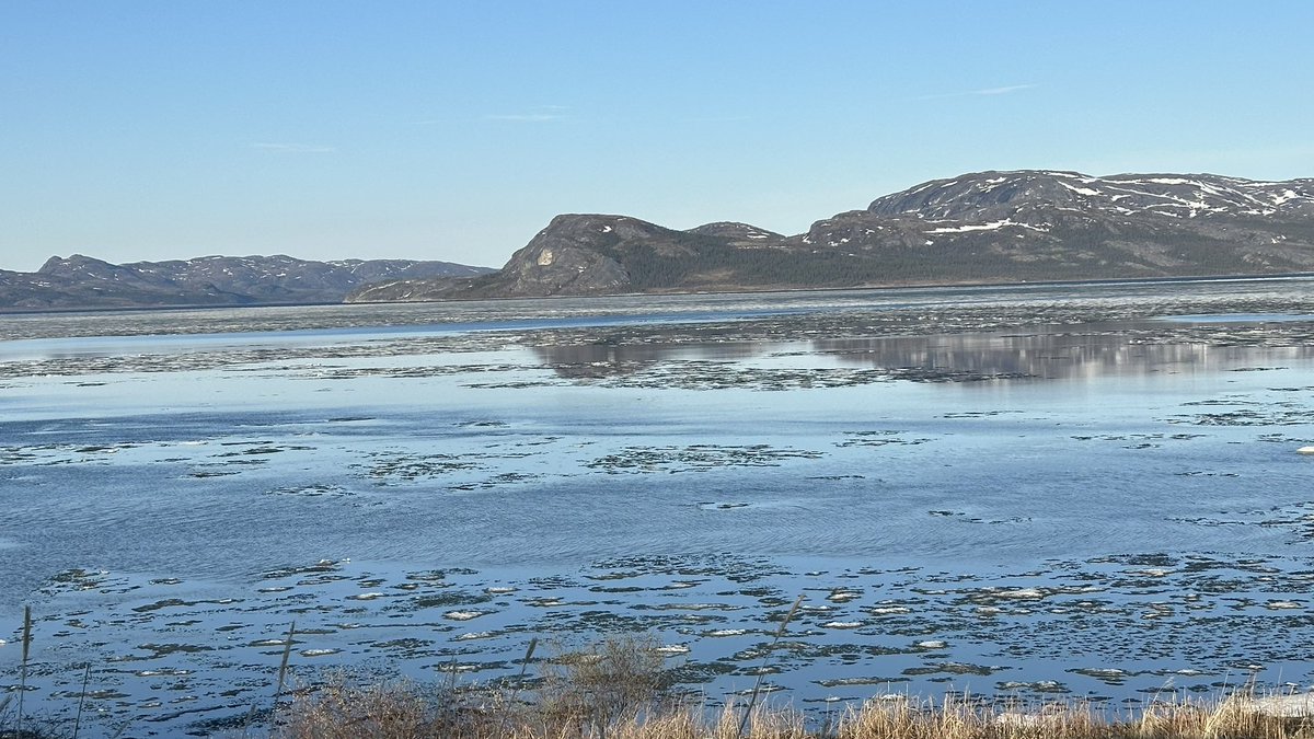 €lsie Russe|| ❄ tweet media