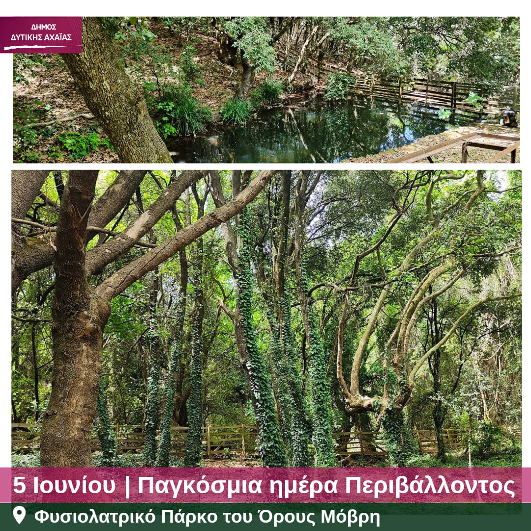 mwa_townhall's tweet photo. 5 Ιουνίου | Παγκόσμια ημέρα περιβάλλοντος!

#Φυσιολατρικό_Πάρκο #Όρος_Μόβρη #Δήμος_Δυτικής_Αχαΐας #Παγκόσμια_Ημέρα_Περιβάλλοντος #Γρηγόρης_Αλεξόπουλος https://t.co/JZwkLtdzPX