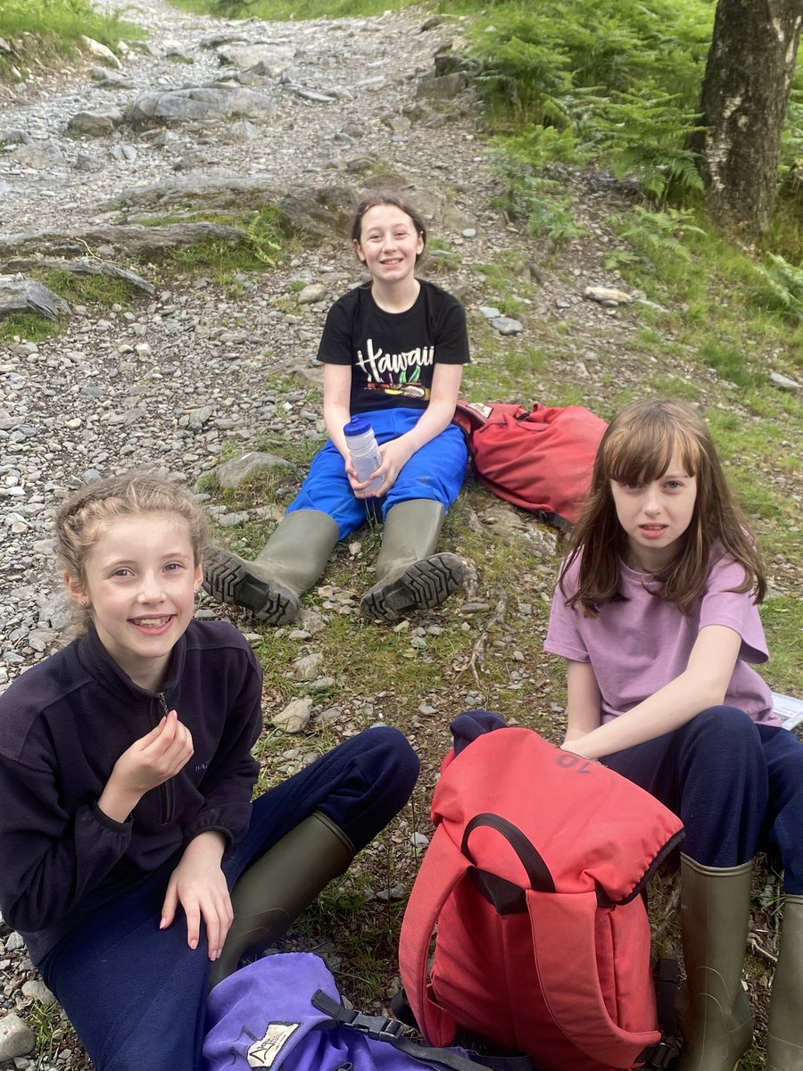 Miss Jones tweet media