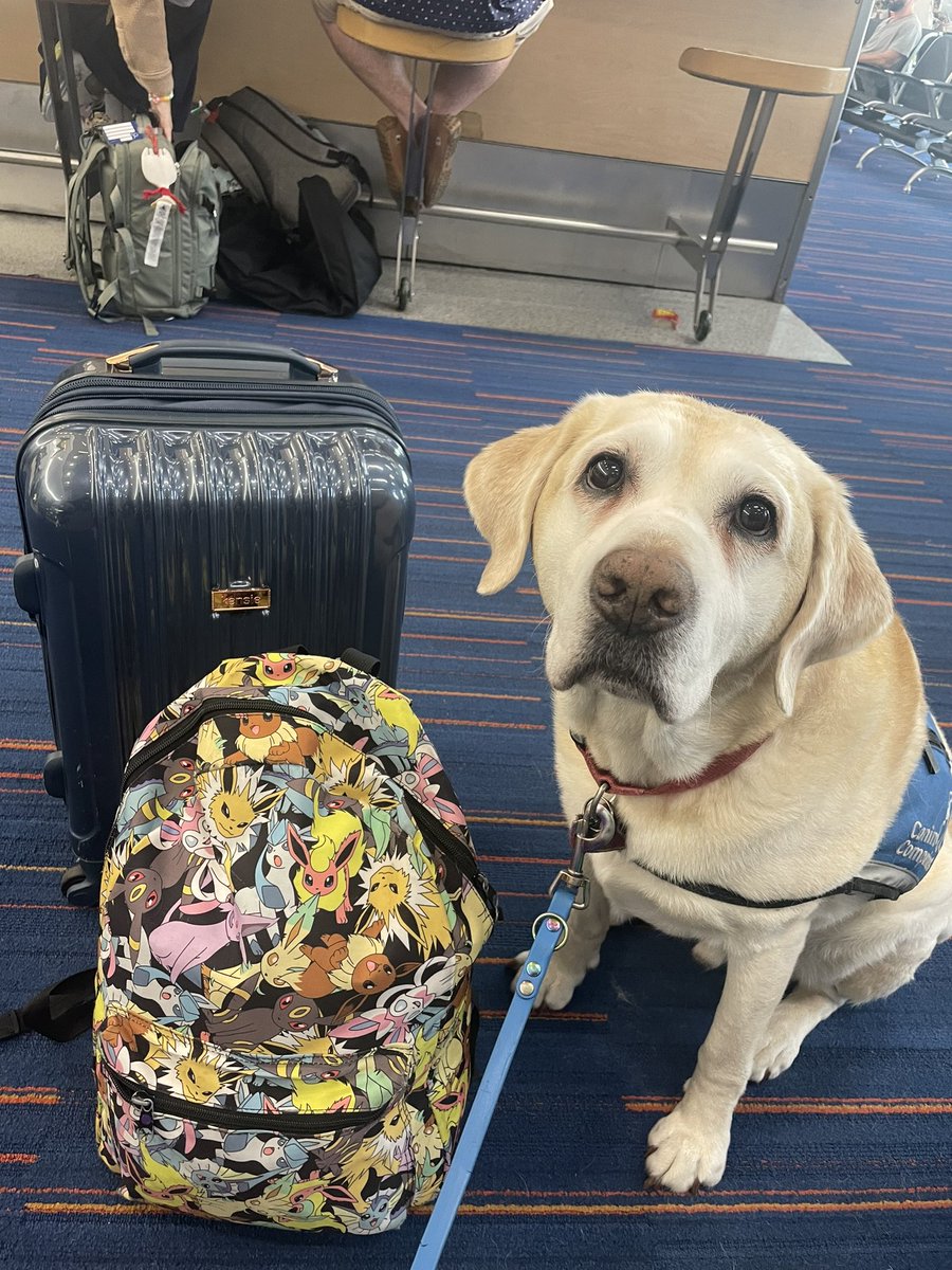 Jules 🔜 Orlando tweet media