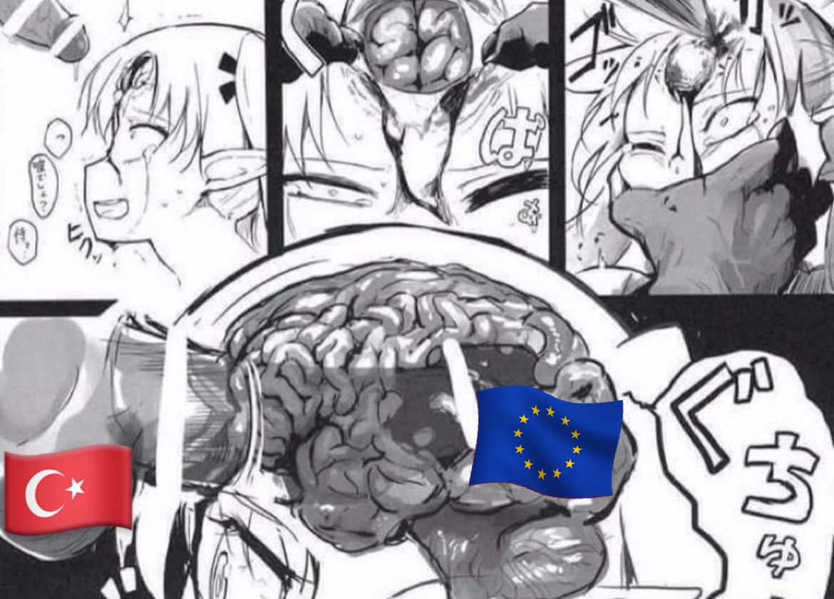 Your 🇪🇺brain, MY 🇹🇷horsecock. You will convert your warm and fertile brain as a cocksleeve for ME. Because i fucking DESERVE it. #mnwo #bnwo #cuck #bull