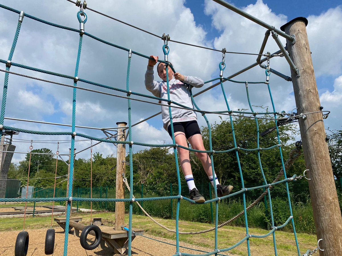 Harold Court Primary tweet media