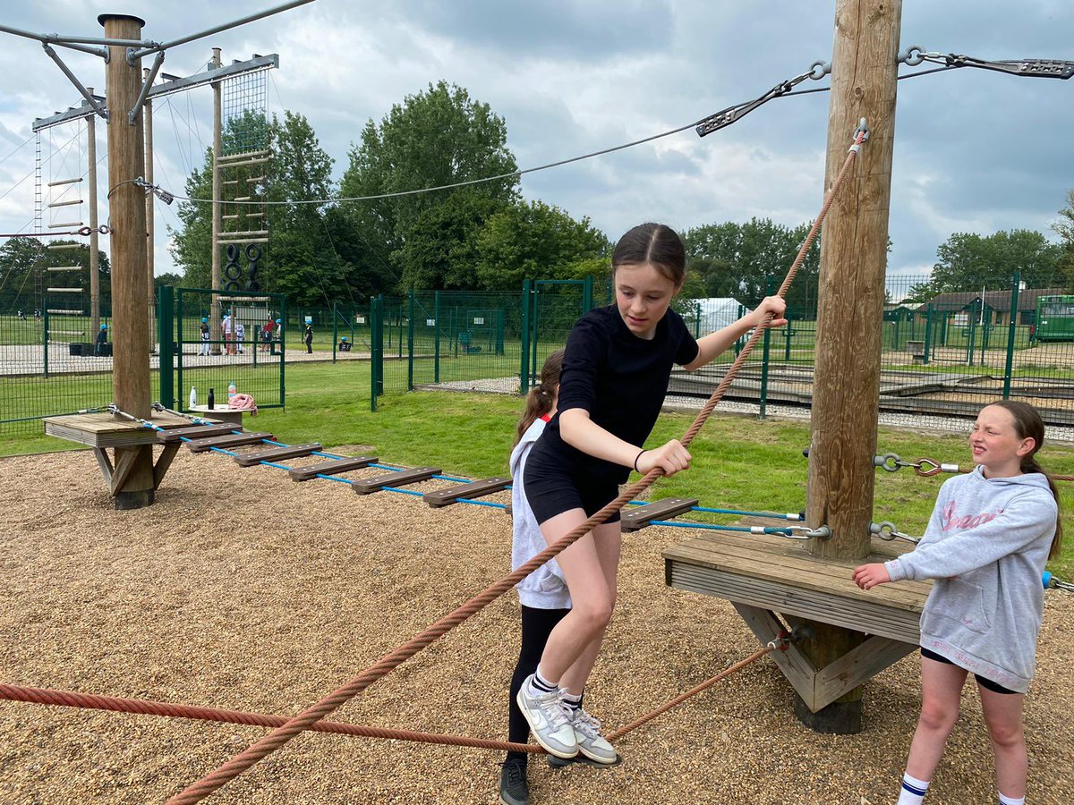 Harold Court Primary tweet media