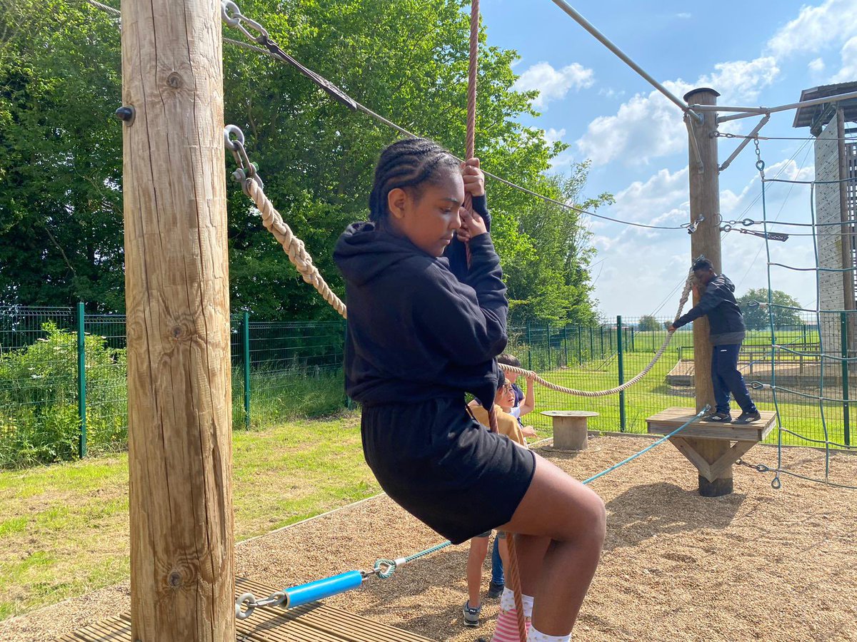 Harold Court Primary tweet media