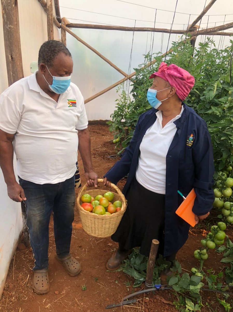agrirocket_eng's tweet photo. Our custom-engineered growing system has enabled our #client to have their #first tomato pick on a #320sqm greenhouse. Moments like these are why we're passionate about designing smart agricultural structures that empower our customers to grow their best!

#happyclientdiaries https://t.co/1MdZpVGQeE