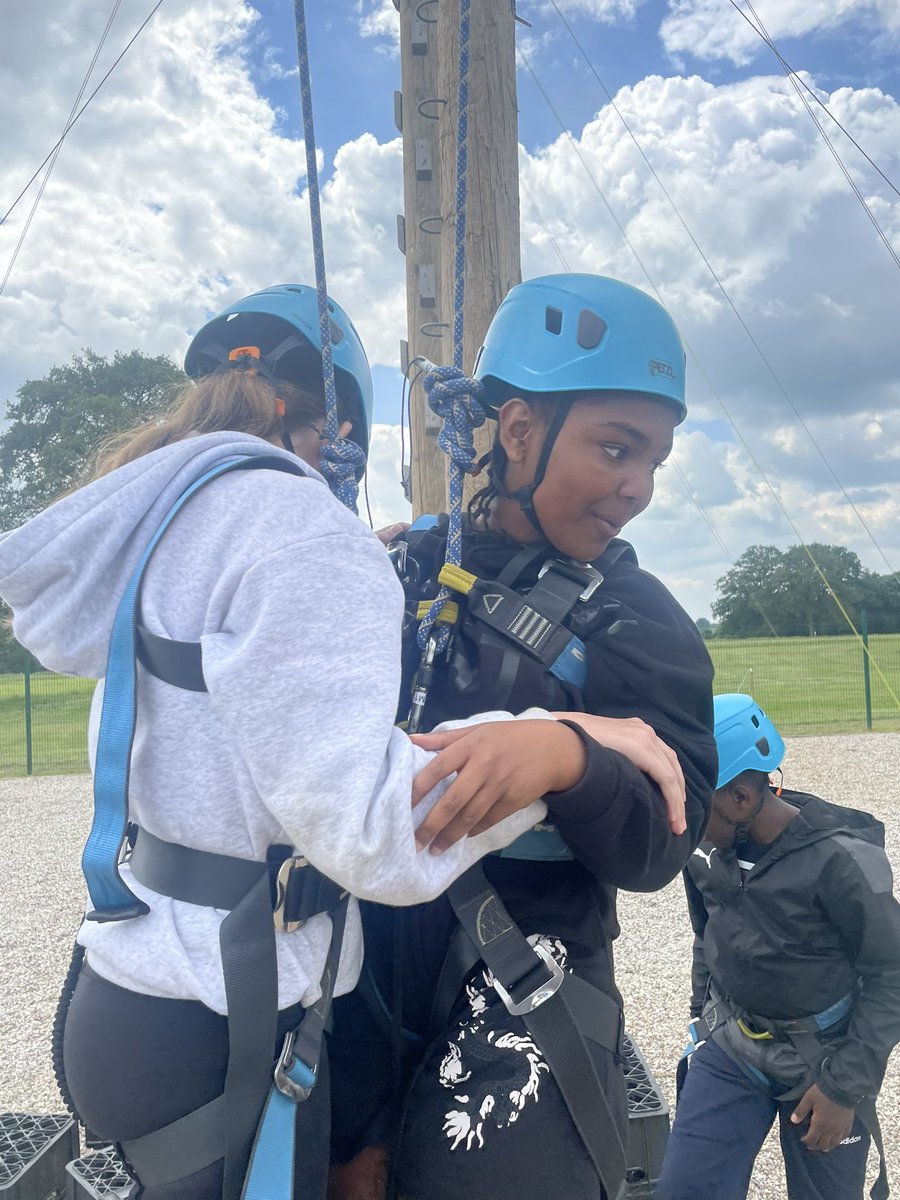 Harold Court Primary tweet media