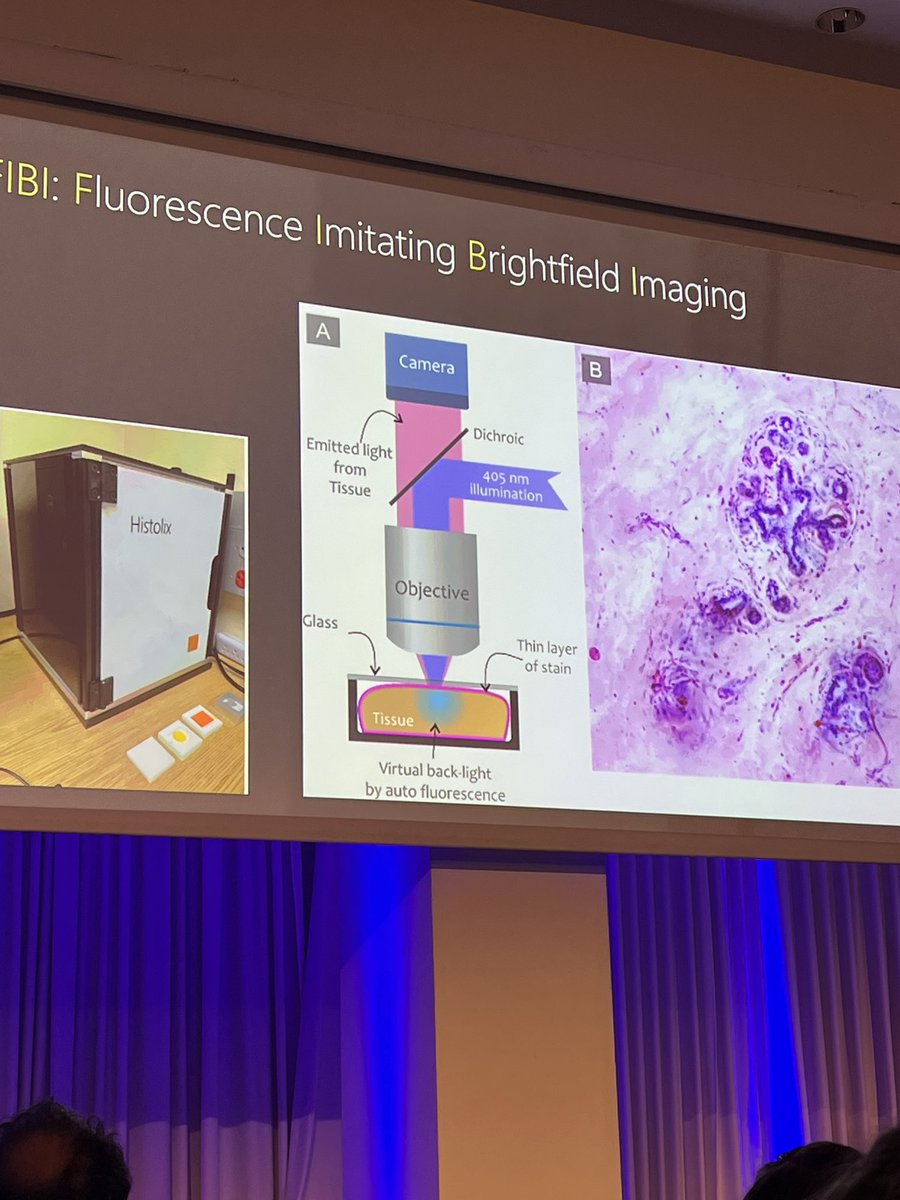 SpyridonBakas's tweet photo. An exemplary, captivating, and inspiring #ECDP2024 #keynote today by @rml52 on the history of the future of pathology! From original microscopes to fluorescence imitating brightfield imaging.
An example of how keynotes should be delivered. https://t.co/KU8sQCXcy5