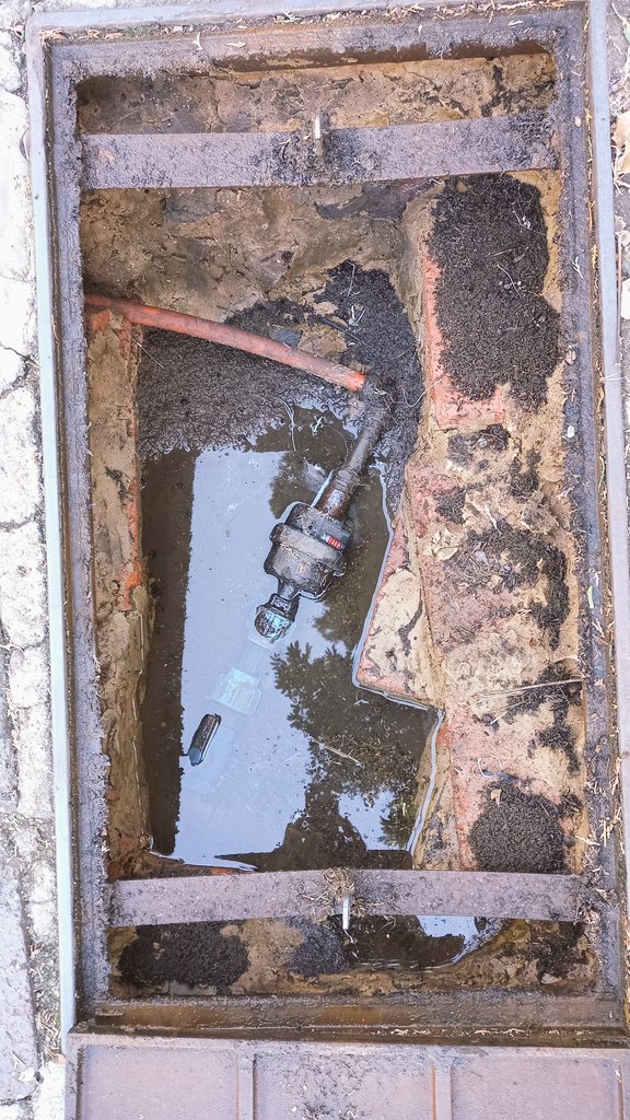 stefano madies tweet media