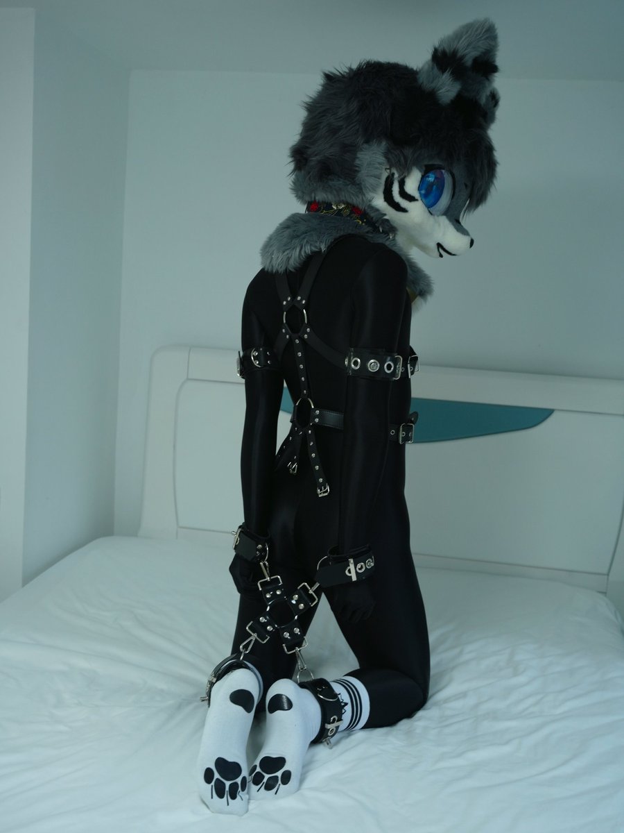 纽特又又又困了 tweet media