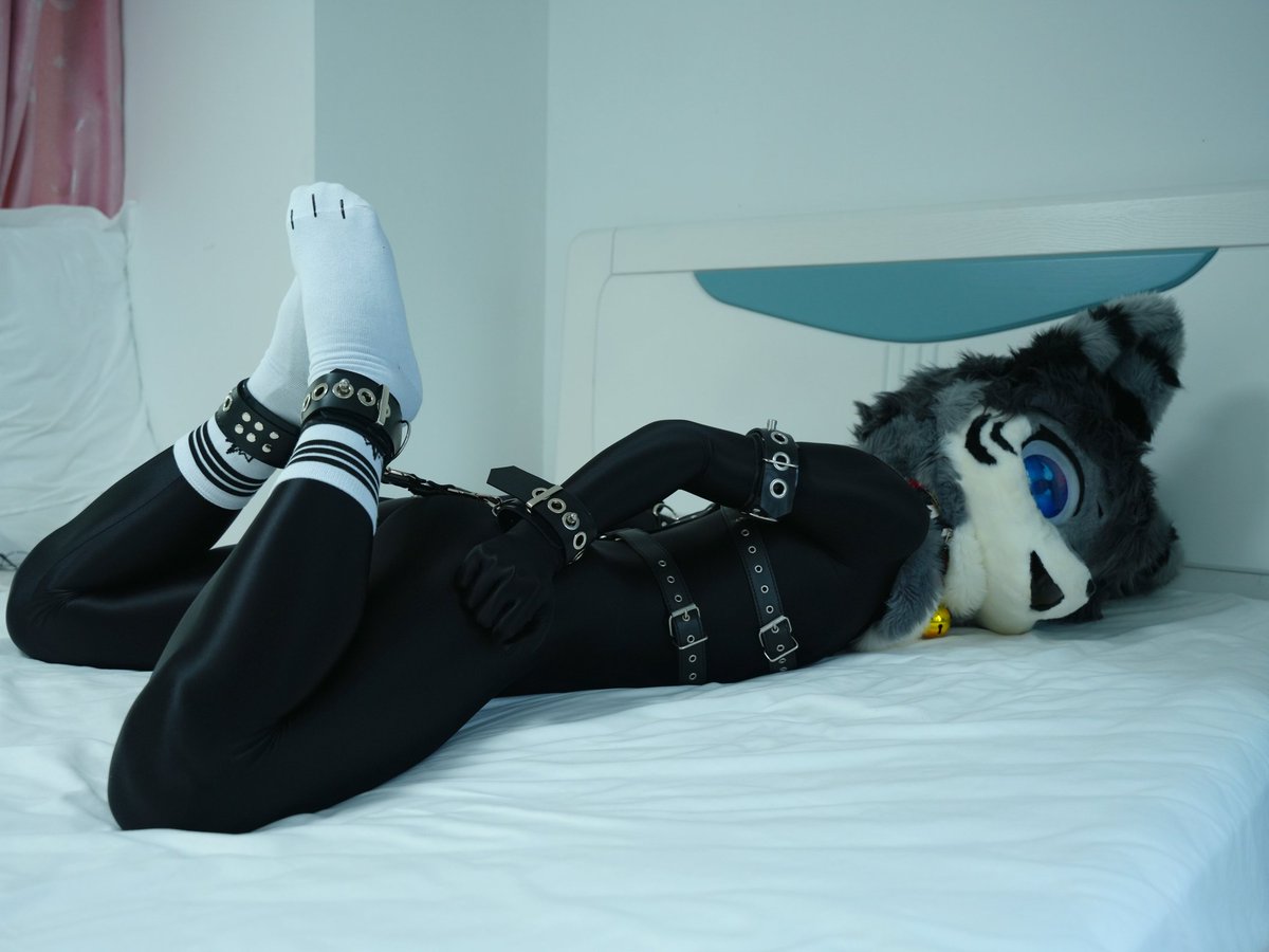 纽特又又又困了 tweet media