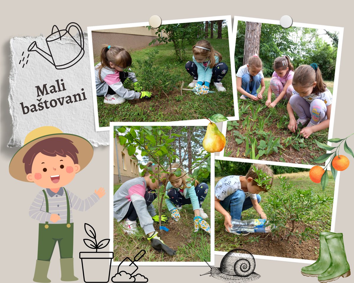 Biljana Popović tweet media