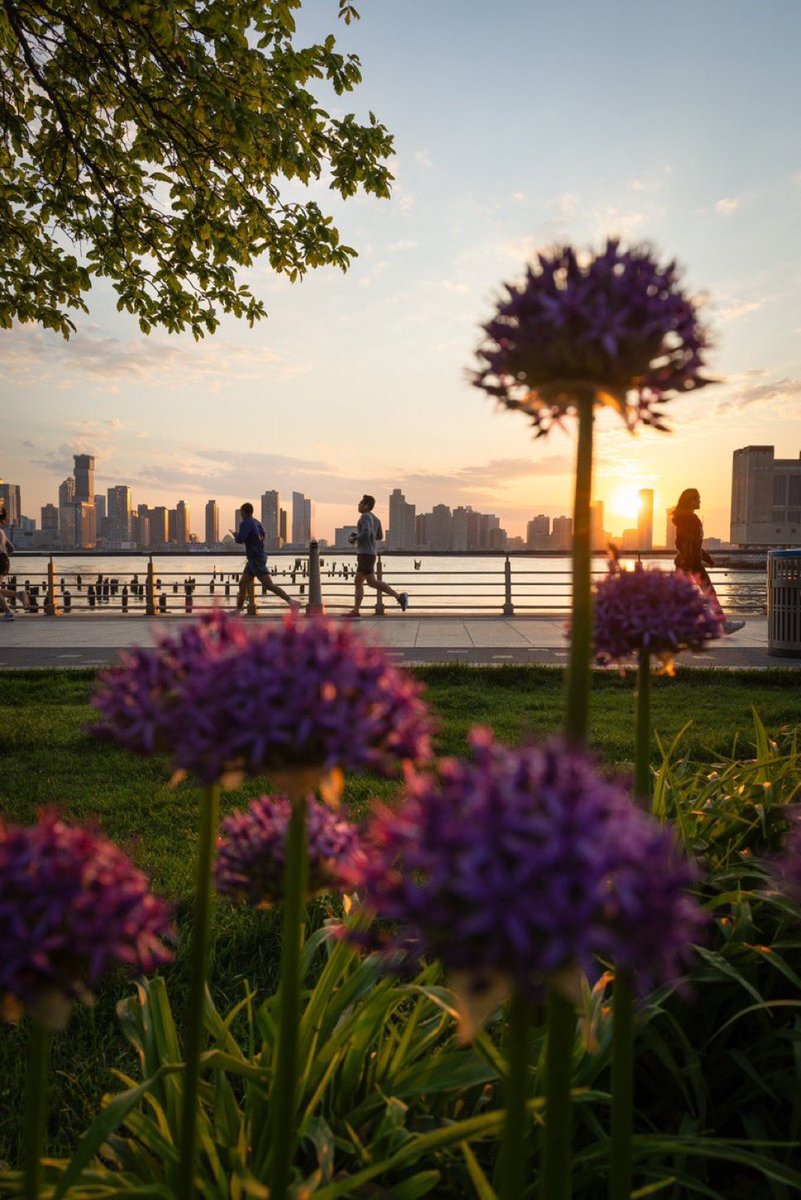 carlquintanilla's tweet image. #hellscape