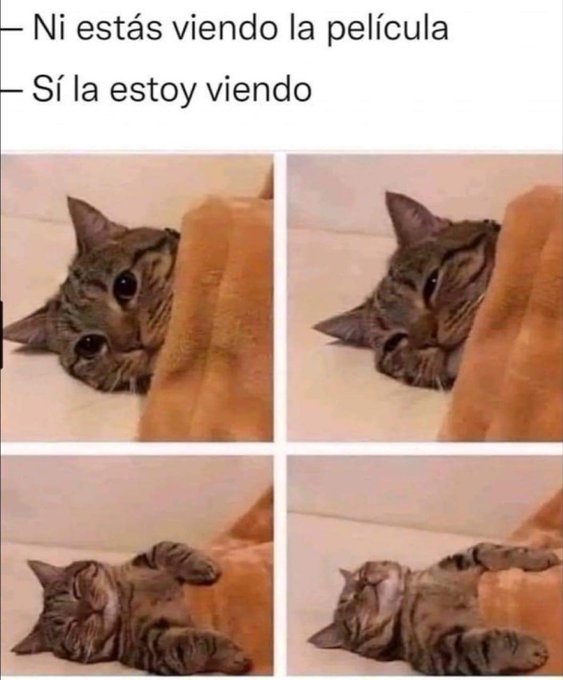 Esta soy yo totalmente, comparte con quien sea igual :p https://t.co/ZvJalOmkZA