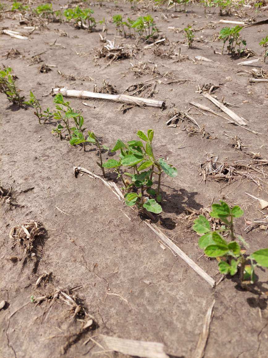 Shawn Conley tweet media