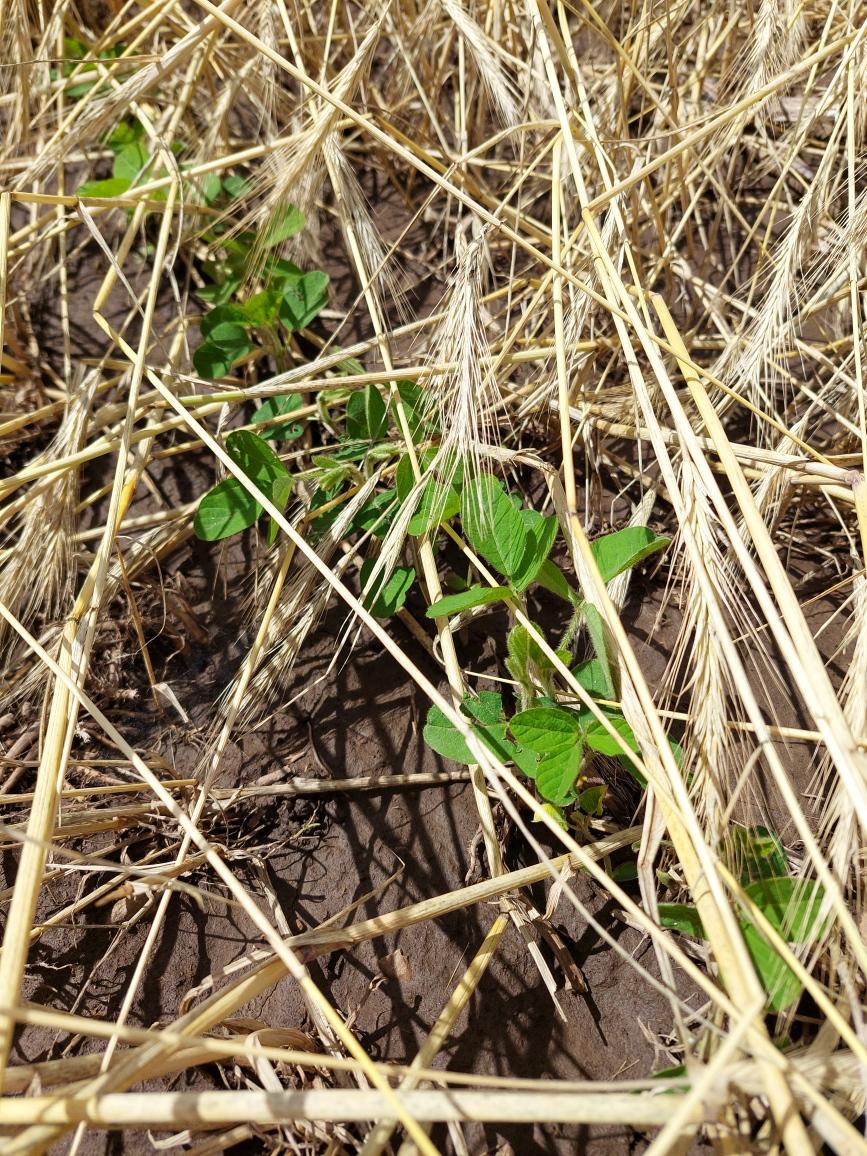 Shawn Conley tweet media