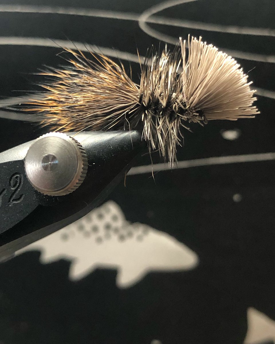 PHD, size 14…

Trout print by <a href="/Phishtitz/">David Burton</a>