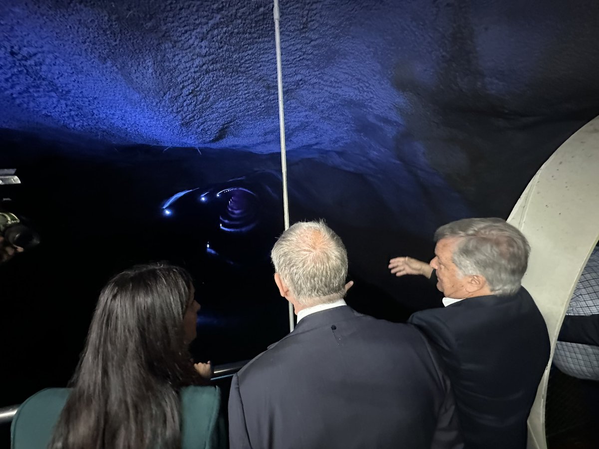 adolfo_urso's tweet photo. Le imprese e i cittadini devono avere un costo energetico pari a quello degli altri Paesi europei. Per questo stiamo puntando molto sulle nuove forme di energie rinnovabili e sulla tecnologia green, incentivando tra le altre cose la produzione e l’installazione di pannelli fotovoltaici Made in Italy. 

Crediamo che sarà necessario, insieme al rafforzamento della produzione idroelettrica di cui siamo leader da sempre, riaprire la strada italiana al nucleare. 

L’ho ribadito oggi a margine della visita alla centrale idroelettrica a Sant’Antonio di Bolzano, insieme all’onorevole Alessia Ambrosi, candidata al Parlamento europeo per @FratellidItalia , e all’assessore allo sviluppo economico della provincia autonoma di Bolzano e presidente provinciale di FdI Bolzano, @marcogalateo.