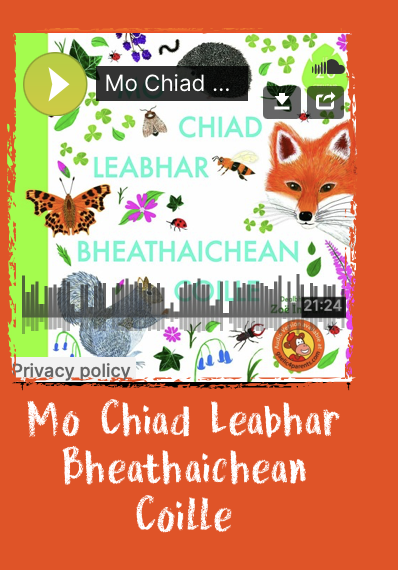 gaelic4parents's tweet photo. And of course our book of the day (leabhar an là) has an animal theme too: Mo chiad leabhar bheathaichean coille -
https://t.co/p98Whku3Mx https://t.co/Hi0eh0oVMx