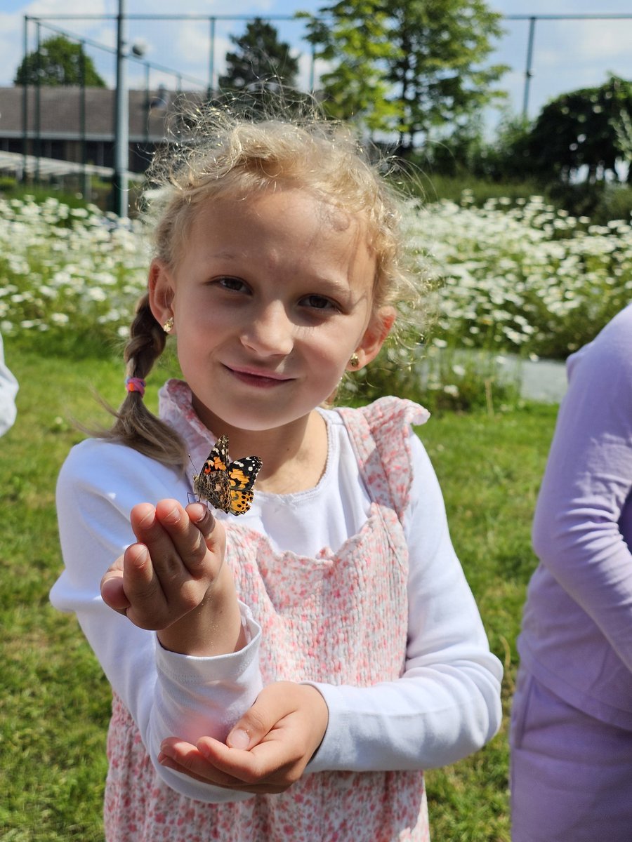 Charlie Phillips tweet media