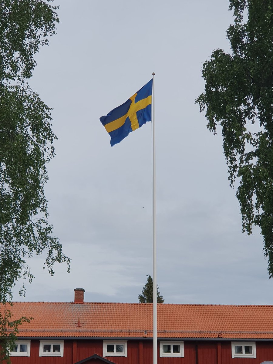 Diddeboy tweet media