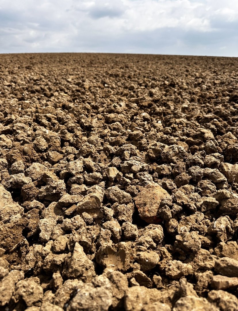 John Atkinson MW tweet media